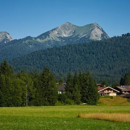 Zum Steingarten Apartment *
